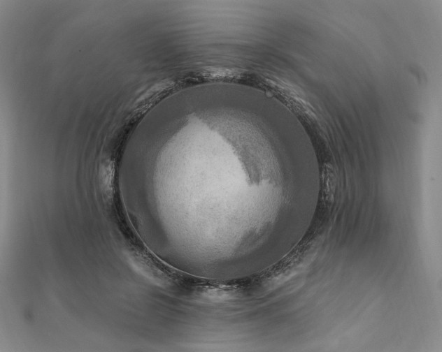 X0000112100550200908041513