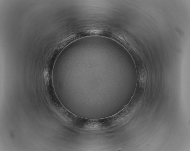 X0000112100551200908041513