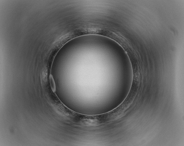 X0000112100552200908041513