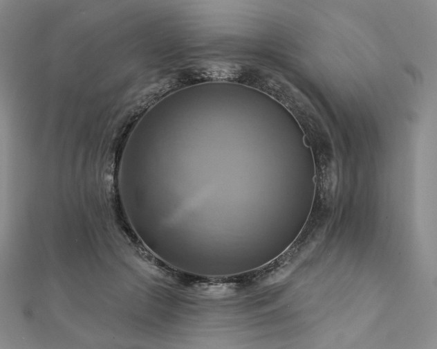 X0000112100553200908041513