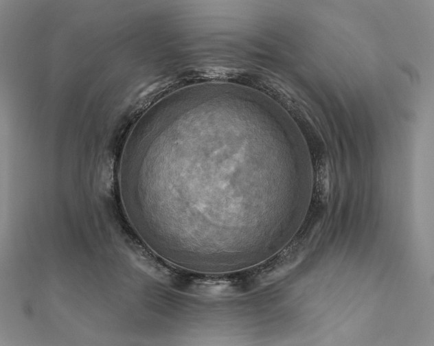 X0000112100554200908041513