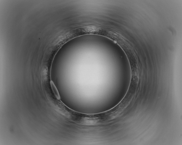X0000112100556200908041513