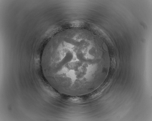 X0000112100557200908041513