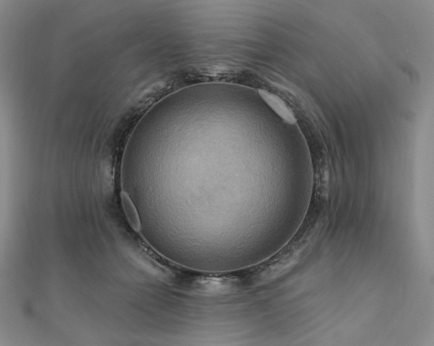 X0000112100558200908041513