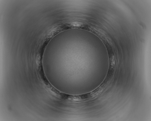 X0000112100559200908041513