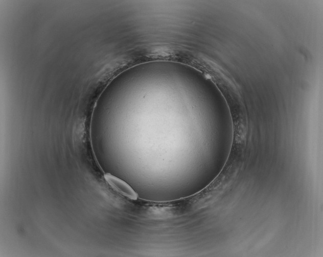 X0000112100560200908041513
