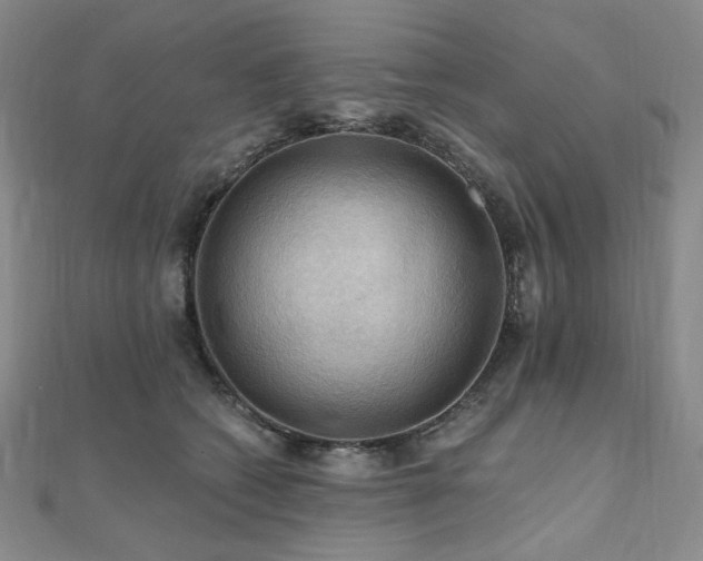 X0000112100562200908041513