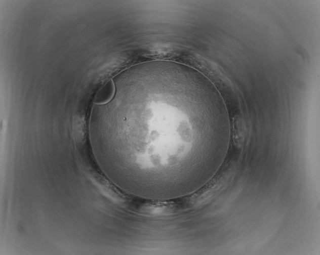 X0000112100563200908041513