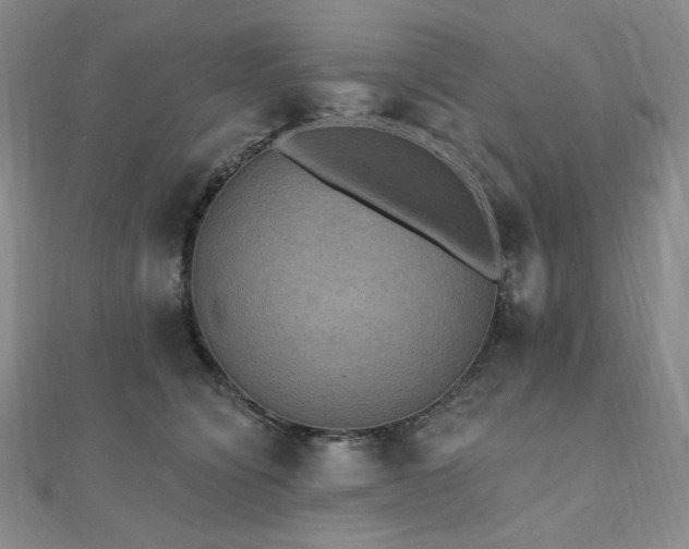 X0000112100564200908041513