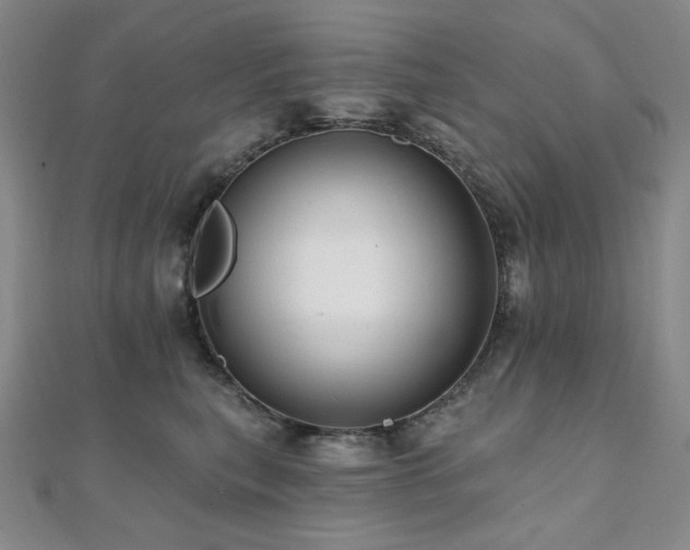X0000112100567200908041513