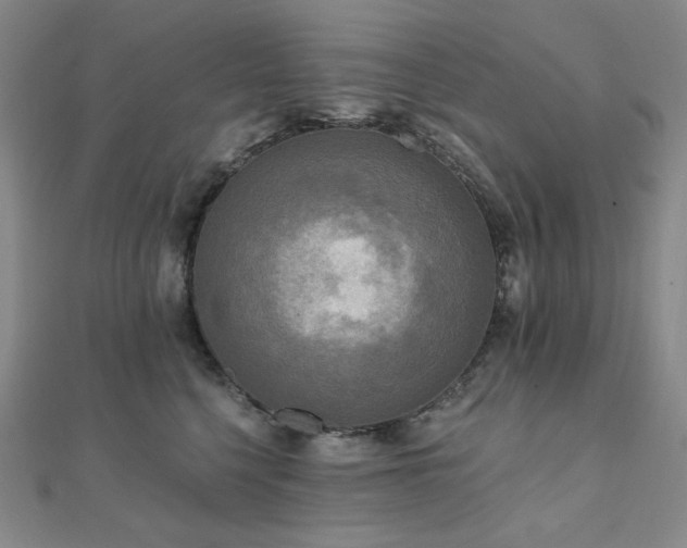 X0000112100568200908041513