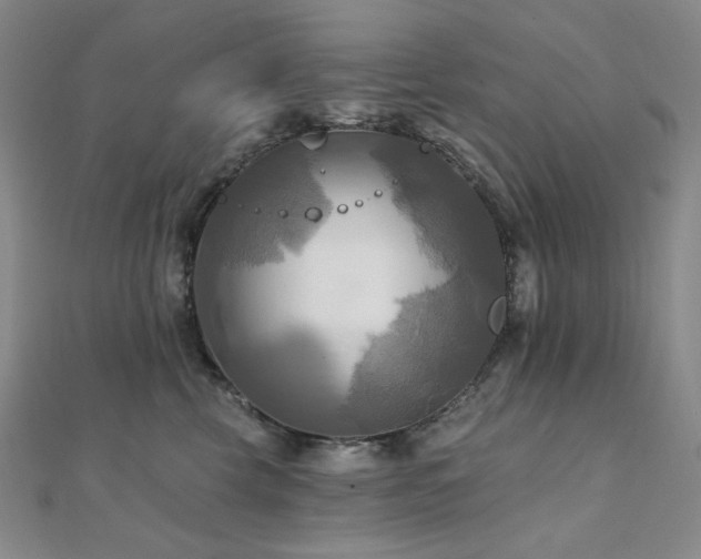 X0000112100569200908041513