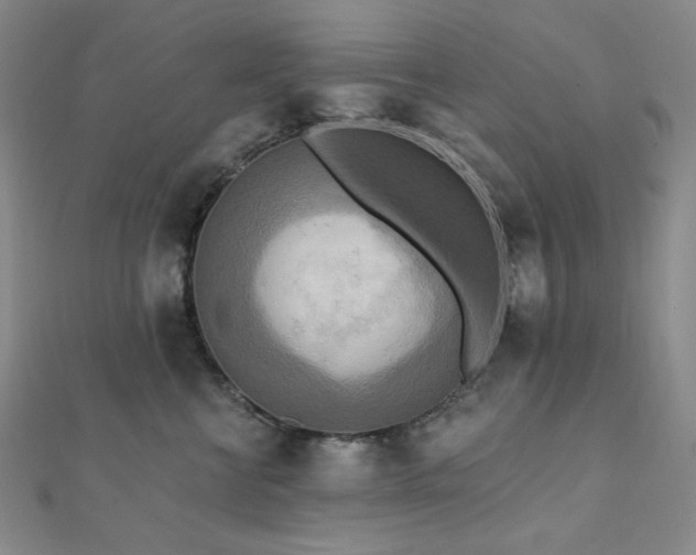 X0000112100570200908041513