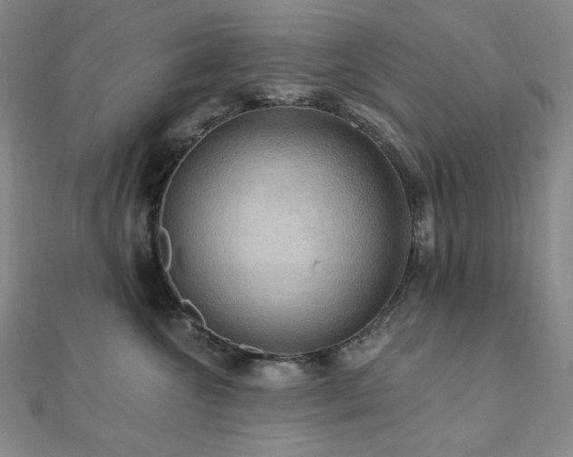 X0000112100572200908041513