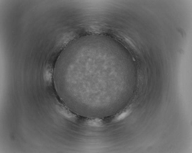 X0000112100576200908041513