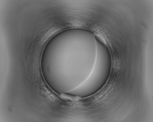X0000112100577200908041513