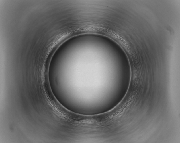 X0000112100578200908041513