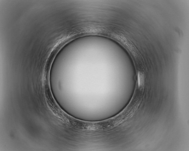 X0000112100579200908041513