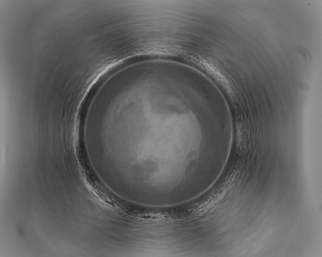X0000112100580200908041513
