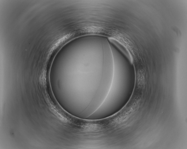 X0000112100581200908041513