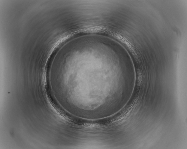 X0000112100582200908041513