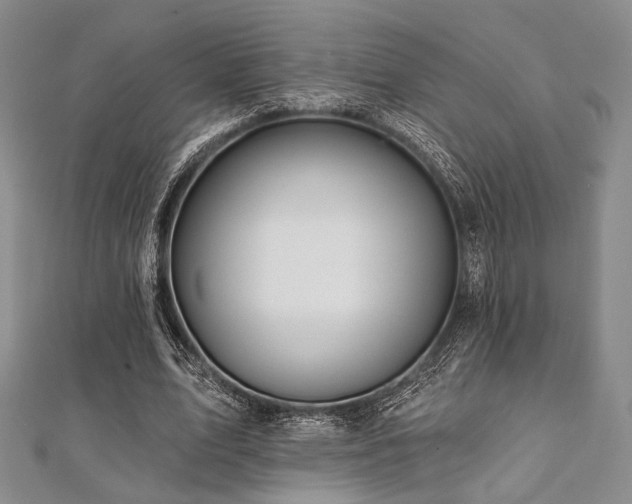 X0000112100583200908041513