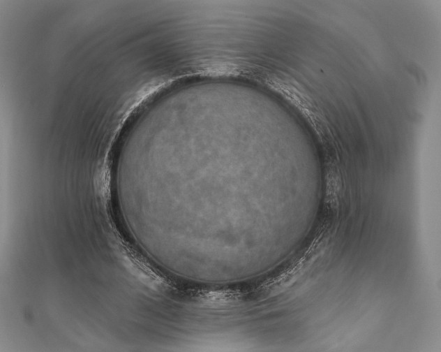 X0000112100584200908041513
