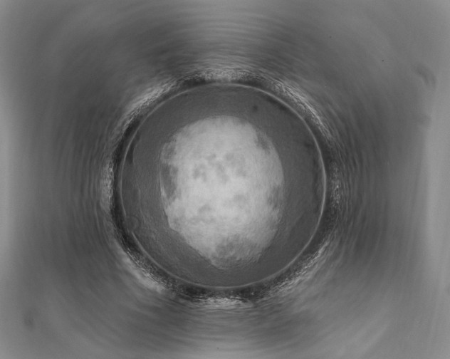 X0000112100586200908041513