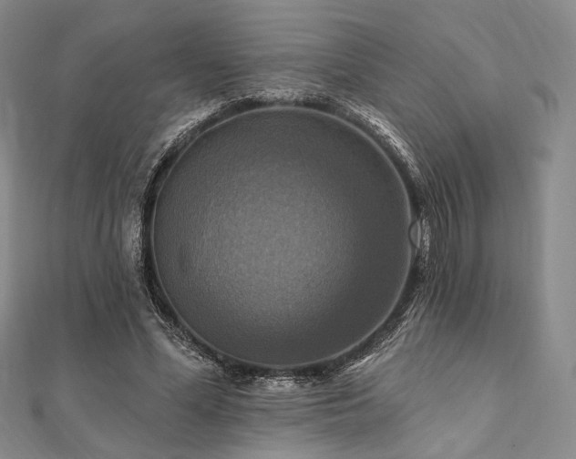 X0000112100588200908041513