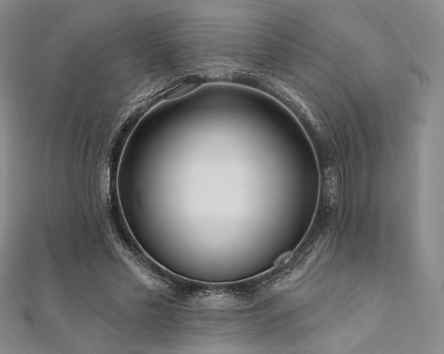 X0000112100589200908041513