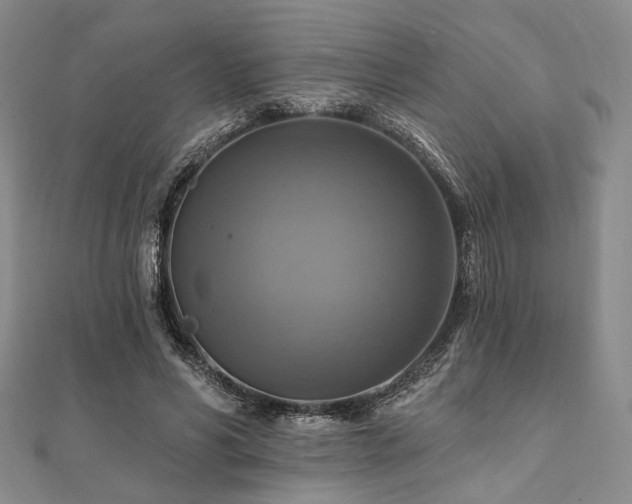 X0000112100590200908041513