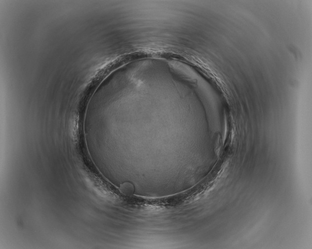 X0000112100592200908041513