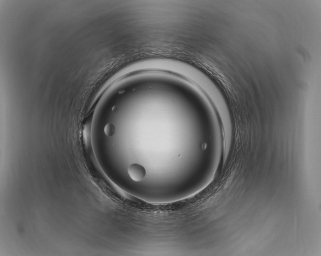 X0000112100593200908041513