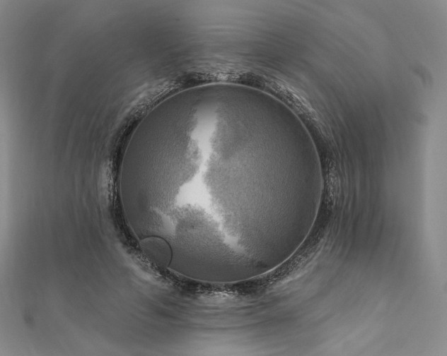 X0000112100594200908041513
