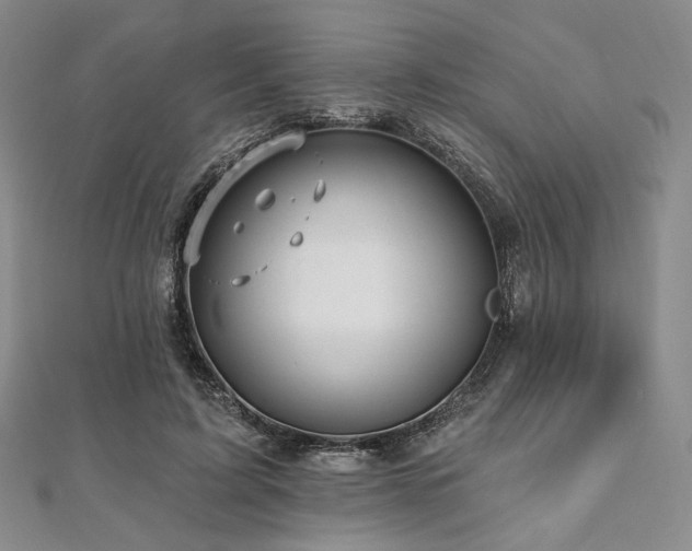 X0000112100595200908041513