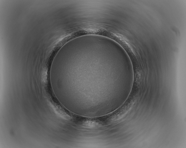 X0000112100596200908041513