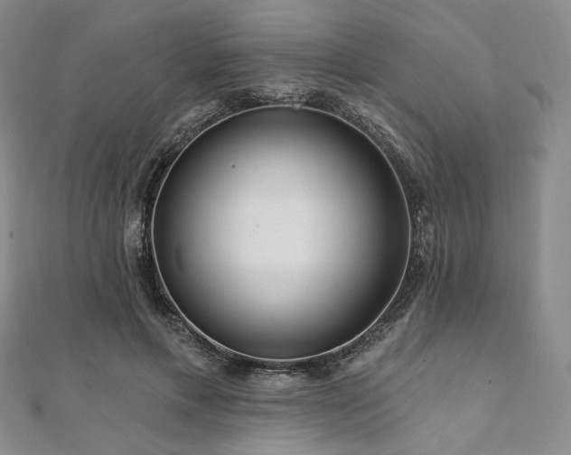 X0000112100597200908041512