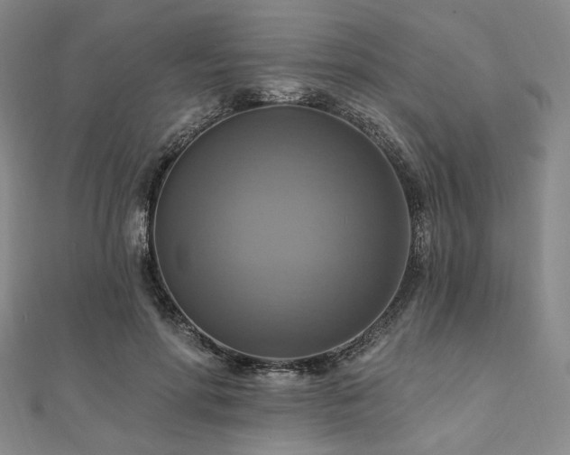 X0000112100598200908041512