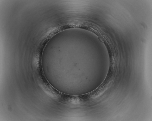 X0000112100600200908041512