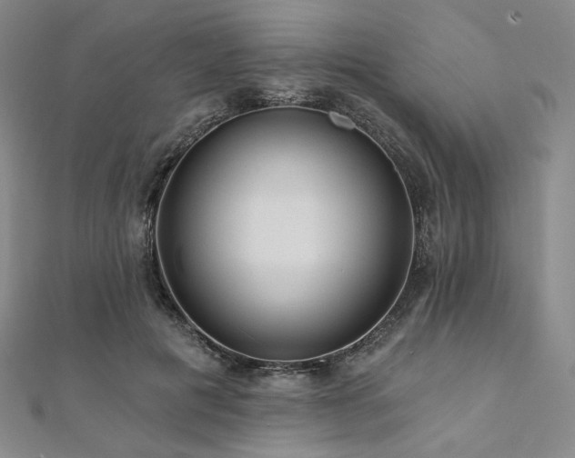 X0000112100601200908041512