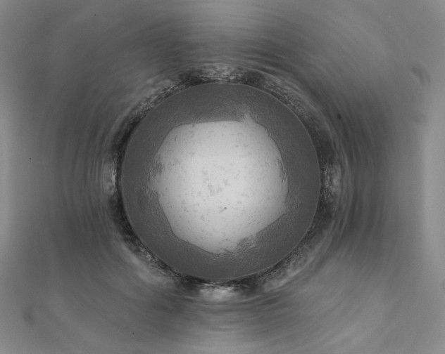 X0000112100602200908041512