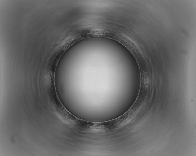 X0000112100603200908041512