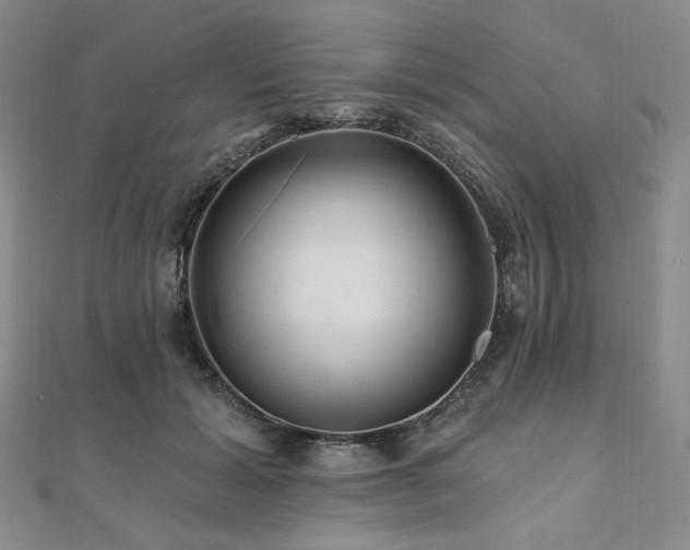 X0000112100605200908041512