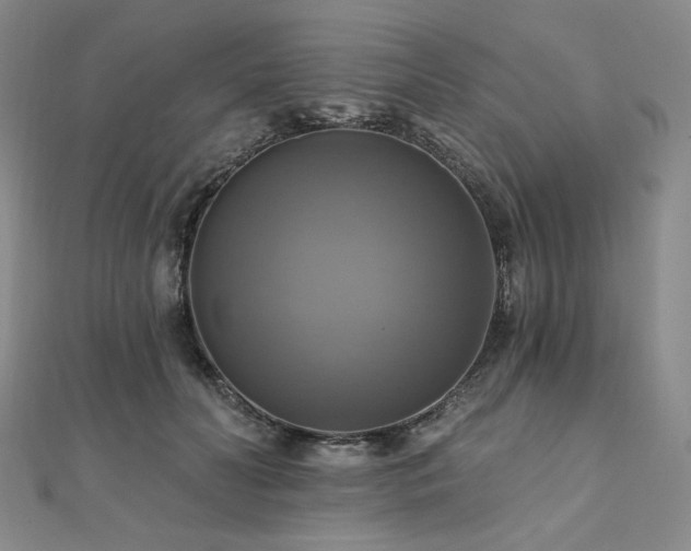 X0000112100606200908041512