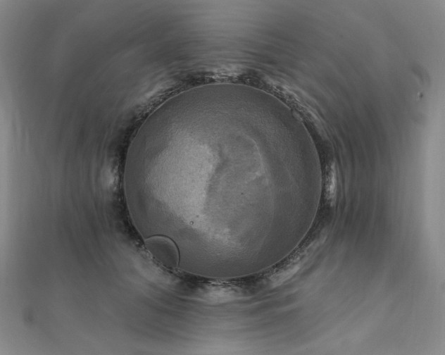X0000112100608200908041512