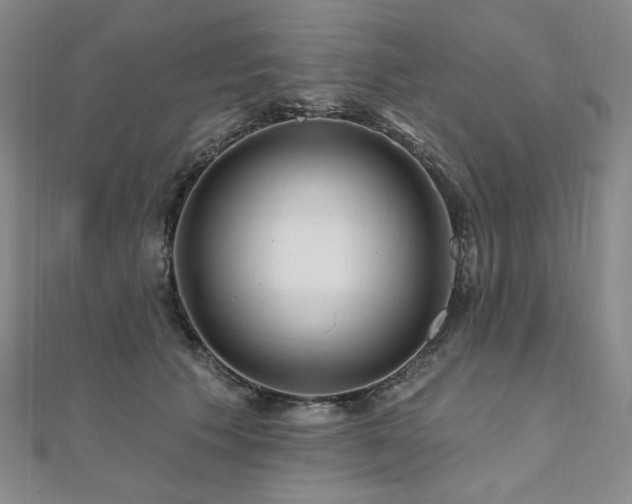 X0000112100609200908041512