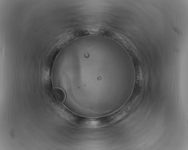 X0000112100610200908041512