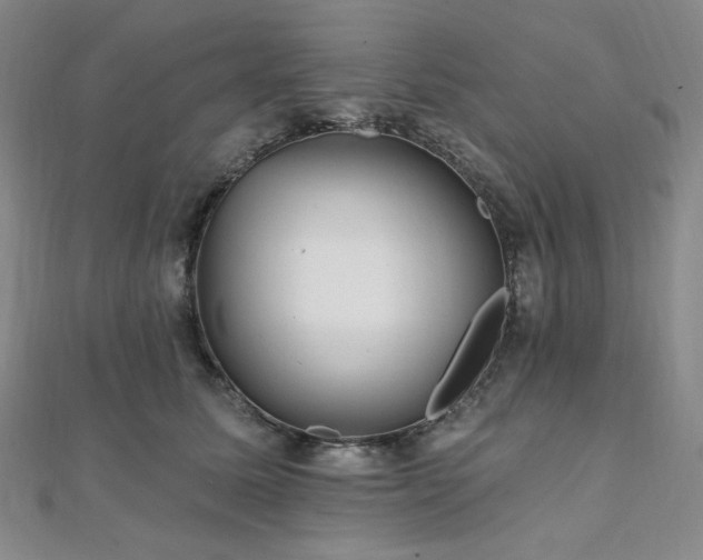 X0000112100611200908041512