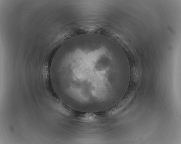 X0000112100612200908041512