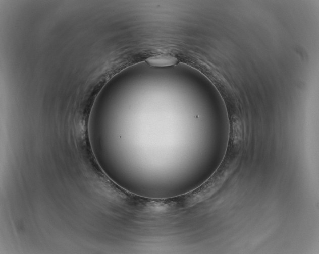 X0000112100613200908041512